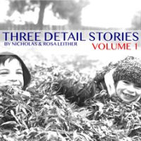 Three_Detail_Stories